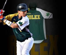 プロ野球選手のような加工画像作ります イメージ1