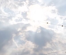 気兼ねせず、何でも話せる話し相手になります イメージ1