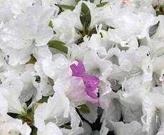 人とのコミュニケーション能力を教えます イメージ1