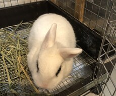 心のケアをバックアップします イメージ1
