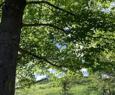 あなたの前世と宿命を霊視します 生まれる前の思いを霊視し、使命を知るお手伝いをいたします