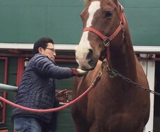 動物専門 鳥獣貿易 全動水協 乗馬クラブ話聞ます イメージ1