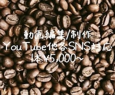 格安動画編集【テロップ、カット、編集】します イメージ1