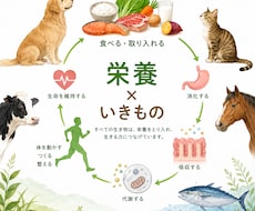 オーナーと同じ食材を用いた食事を設計します ワンちゃんネコちゃんにも手作りのご飯を食べてほしい！
