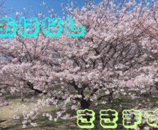 短時間でも大丈夫⭐︎お話しお聞きします イメージ1