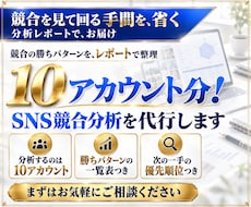10アカウント分！SNS競合分析を代行します イメージ1