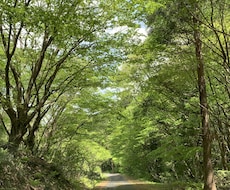 おふたりの過去生からのつながりを霊視いたします あなたに寄り添う占い師　お気軽にご相談ください