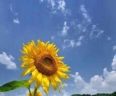 お悩み相談・暇つぶし・話し相手になります イメージ1