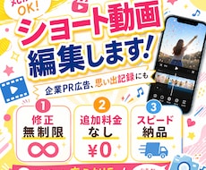 丸投げOK動画編集します イメージ1