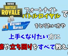 フォートナイトでの立ち回りや建築を教えます イメージ1