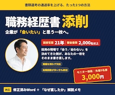 職務経歴書｜会いたいと思わせる書類へ添削します イメージ1