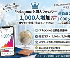 インスタのフォロワー1,000人増やします イメージ1