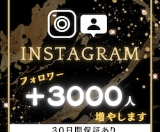 Instagramのフォロワー3000人増やします イメージ1