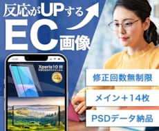 ECサイト用ランディングページ(LP)を制作します マーケティング・消費者心理学で訴求力UP!!