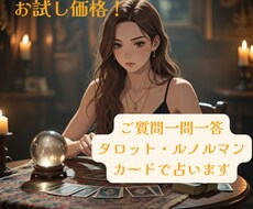 お試し価格！ご質問1件承ります イメージ1
