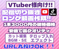 配信者様向けにロング動画を制作いたします イメージ1