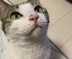 東洋医学などで、あなたに合ったセルフケアを教えます イメージ1