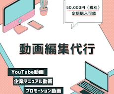 動画を5万円で制作します イメージ1