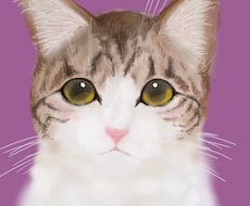 猫ちゃんワンちゃん鳥さんなど描きます イメージ1