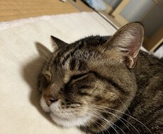 オタクがお話お聴きします イメージ1