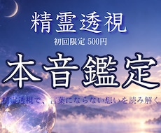 精霊透視✴︎本当の想いを魂の言葉に翻訳します 心の奥にある本当の想いを、やさしい言葉でお届けします。