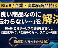 BtoBサービスを成約するセールスコピー執筆します 問い合わせが増えない企業のLP・案内文を売れる文章に改善