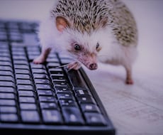 報告してください！習慣化のお手伝いをします あなたと作るオーダーメイド！一緒に目標達成しましょう☽