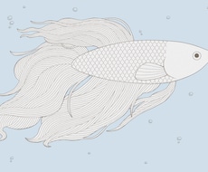 動物・昆虫などのイラスト描きます