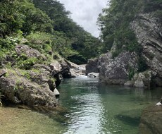 出会に感謝✨お話し相手になります イメージ1