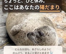 あざらしのような包容力！あなたの悩みに寄り添います イメージ1