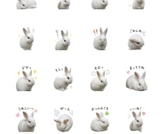 ペットや家族のLINEスタンプ作成します イメージ1