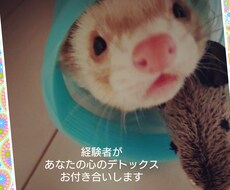 精神病の経験者！あなたの心、受け止めます イメージ1