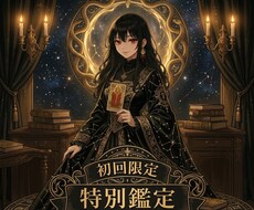 初回限定*特別鑑定になります