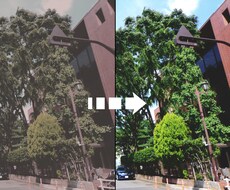 経年による写真の色あせ、変色を修復します イメージ1