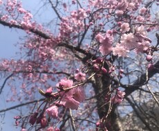 文章を読んで翻訳します イメージ1
