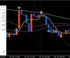 あなたのFXトレード手法パフォーマンスを改善します 複数の通貨ペアを負担なく同時運用も可能に