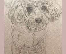 ワンちゃんを鉛筆画で描きます イメージ1