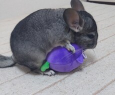 何でもお話ききます イメージ1
