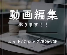 ショート、リール動画の編集を代行をいたします イメージ1