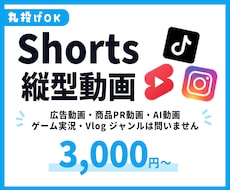 全SNS動画対応のShort動画を編集します イメージ1