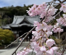就活のES添削をご協力致します イメージ1