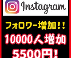 インスタフォロワー10,000人増加します わからないことがあればご気軽に相談ください