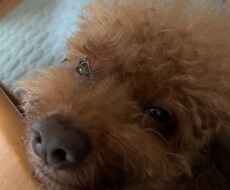 笑顔にそして元気に日々過ごせるようにします イメージ1