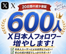 X日本人フォロワー600人増やします イメージ1