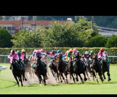 競馬予想！回収率上昇お手伝いします 予想3レース500円キャンペーン中！