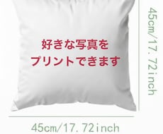 好きな写真からオリジナルクッションカバー作ります イメージ1