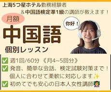 本編) 【月額】中国語の個別レッスンをいたします 上海５つ星ホテル勤務経験者が中国語を教えます！