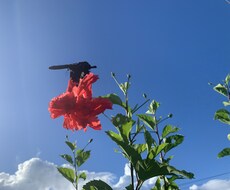 お話聞きます イメージ1