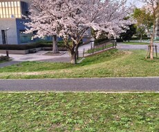 どんな悩みや愚痴等スッキリさせます イメージ1