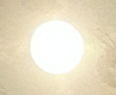引きこもり・不登校の相談にのります イメージ1